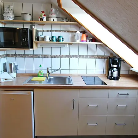 Lachmöwe * Hörnum